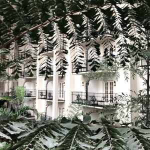 Meet your Posher, Joozie.B